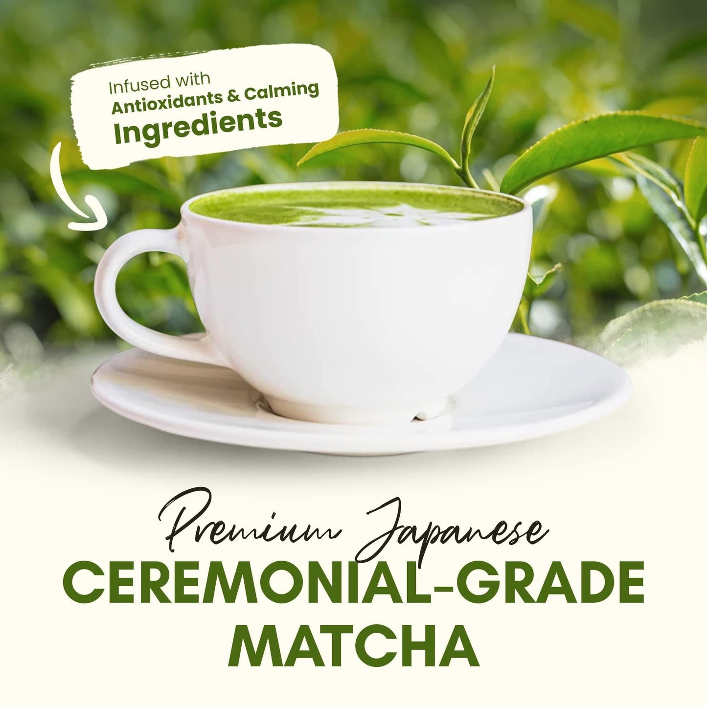 Organic Matcha Latte Pure Japanese Tea Blend
