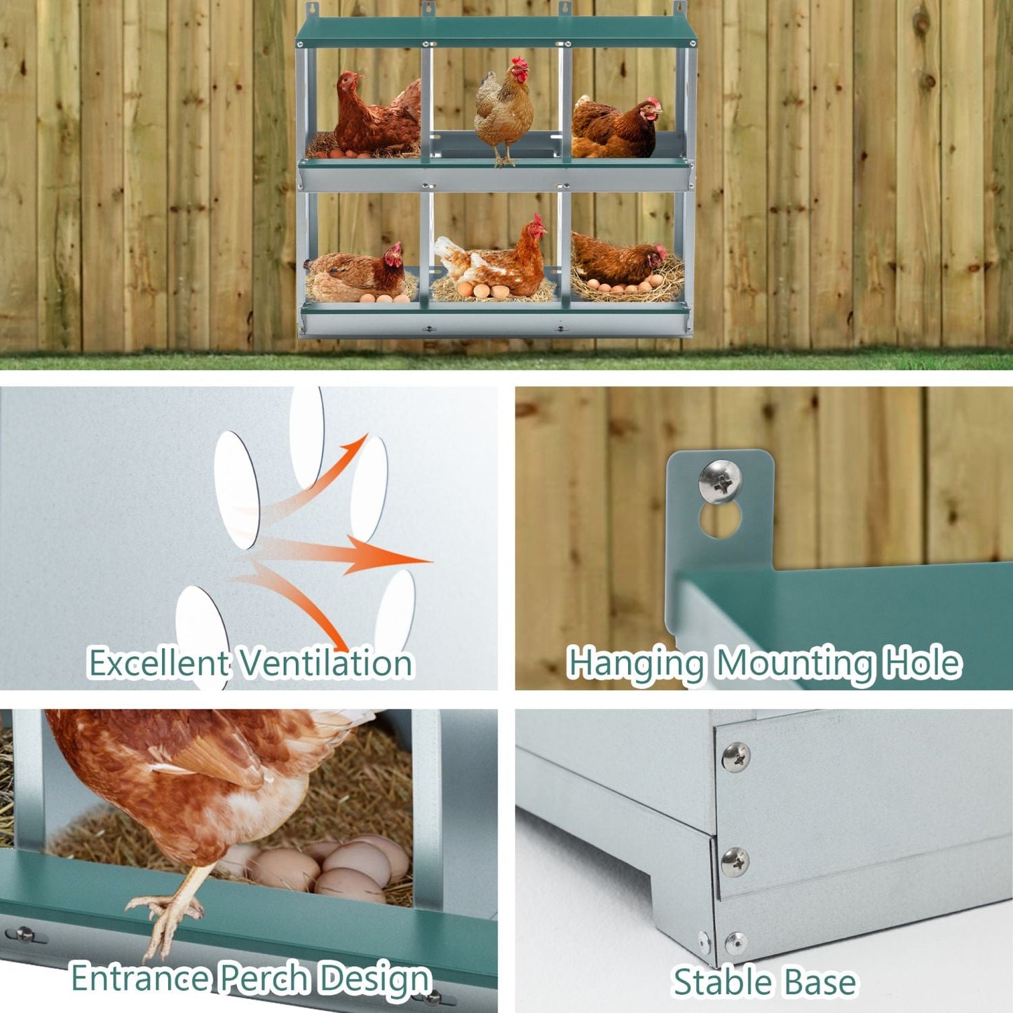 6-Room Metal Chicken Nesting Box – Galvanized Steel Hen Coop