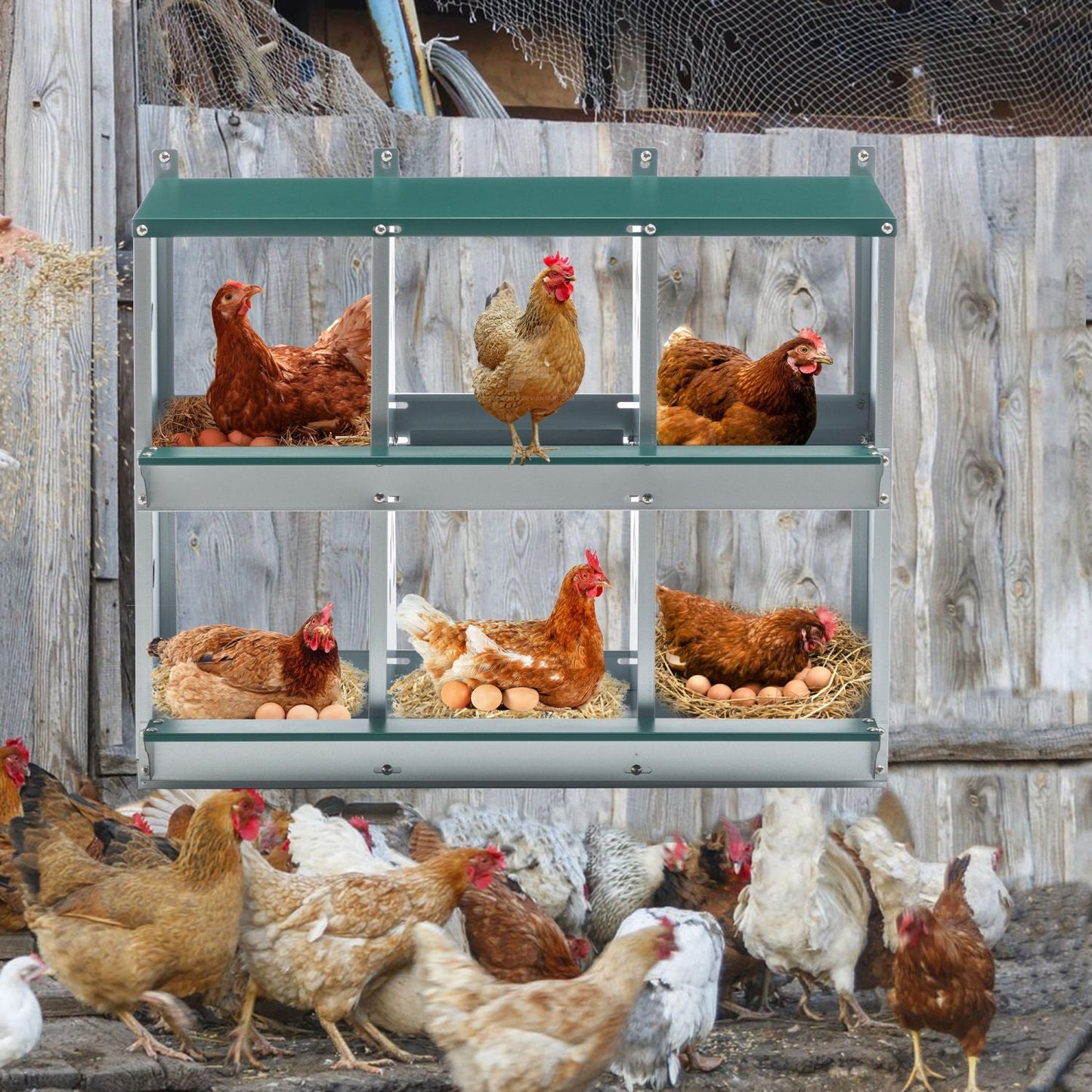 6-Room Metal Chicken Nesting Box – Galvanized Steel Hen Coop