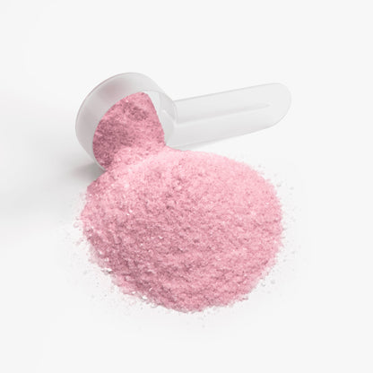 Enerza FP Energy Powder Fruit Punch | Sugar-Free| 140g
