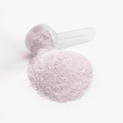 Enerza GB Energy Powder Guava Berry |Sugar-Free Focus Support | 120g