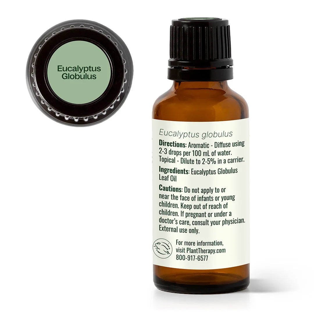 Huile Essentielle d'Eucalyptus Globulus