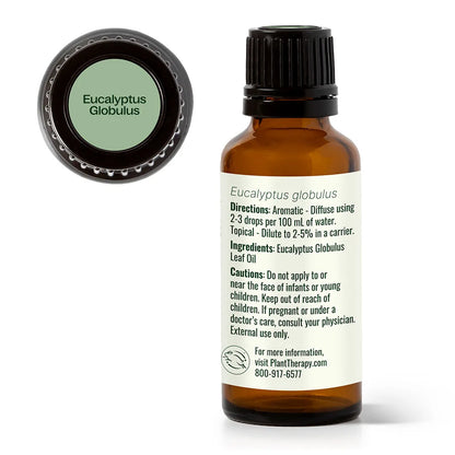 Huile Essentielle d'Eucalyptus Globulus