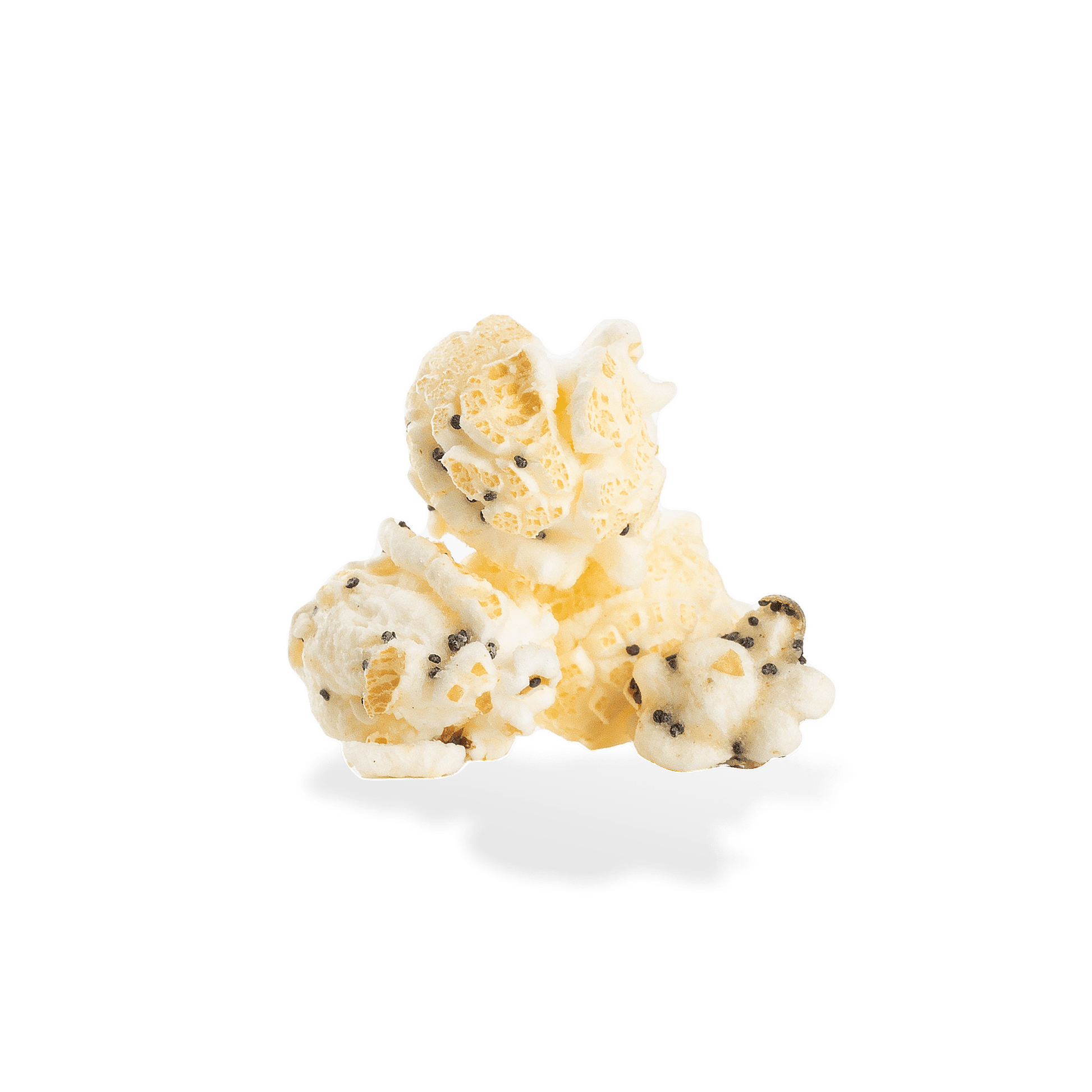 Everything Bagel Popcorn | Daily Health & Beauty