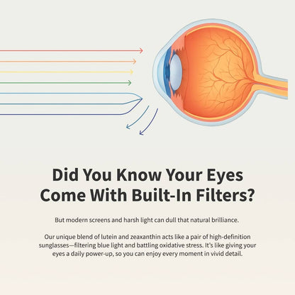 Eye Health