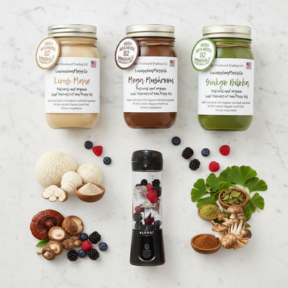 Organic Mind Body & Energy Sea Moss Gel Bundle flat lay — Lion's Mane Mega Mushroom Ginkgo Biloba Sea Moss Gel jars and BLENDi Pro+ Portable Blender with fresh mushrooms and ginkgo leaves — Daily Health & Beauty