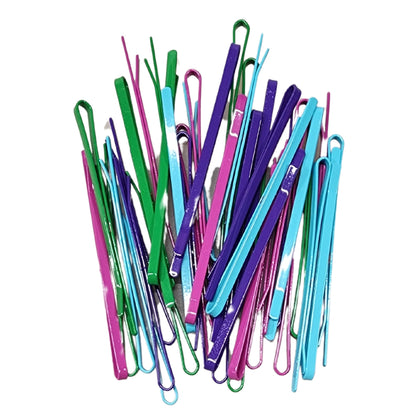 Professional Flat Metal Styling Bobby Pins in Storage Case - 40pc Pack