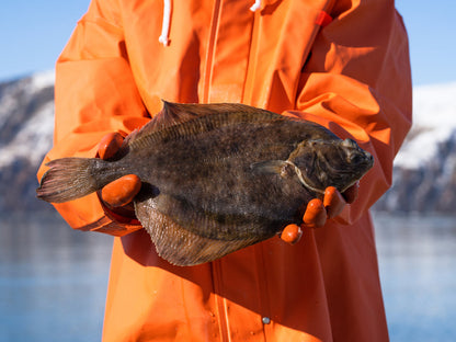 Alaskan Flounder Share - 20 lbs.
