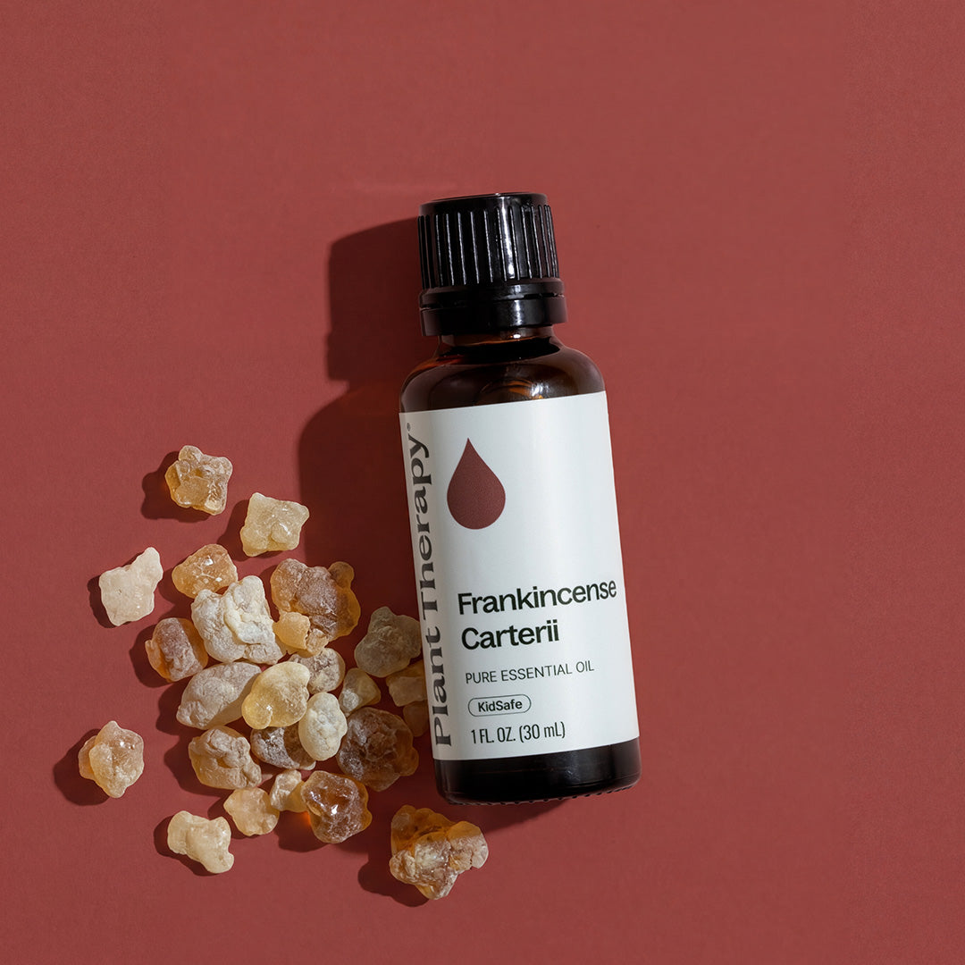 Huile essentielle de Boswellia Carterii