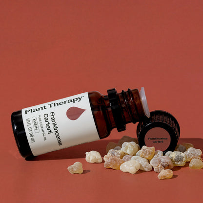 Huile essentielle de Boswellia Carterii