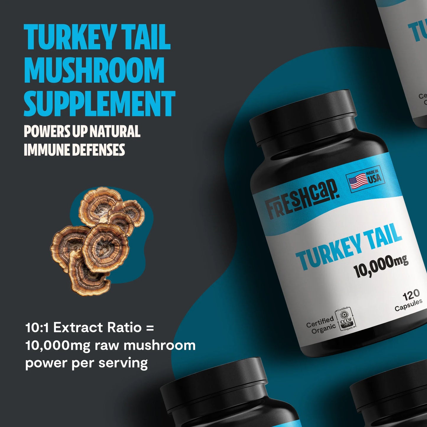 Organic Turkey Tail Mushroom Capsules