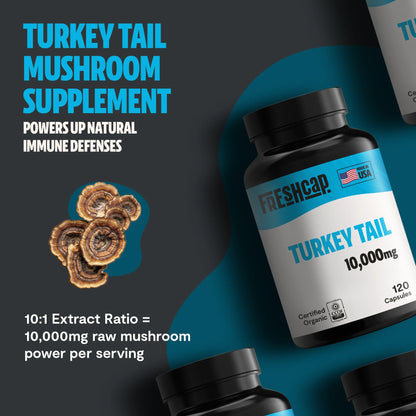 Organic Turkey Tail Mushroom Capsules