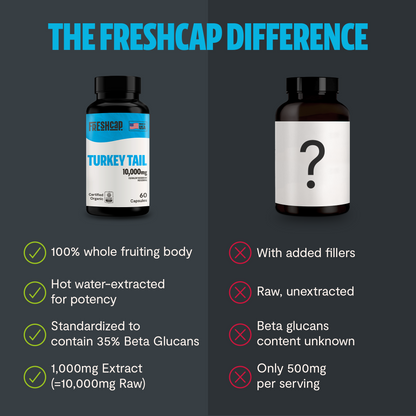 Organic Turkey Tail Mushroom Capsules