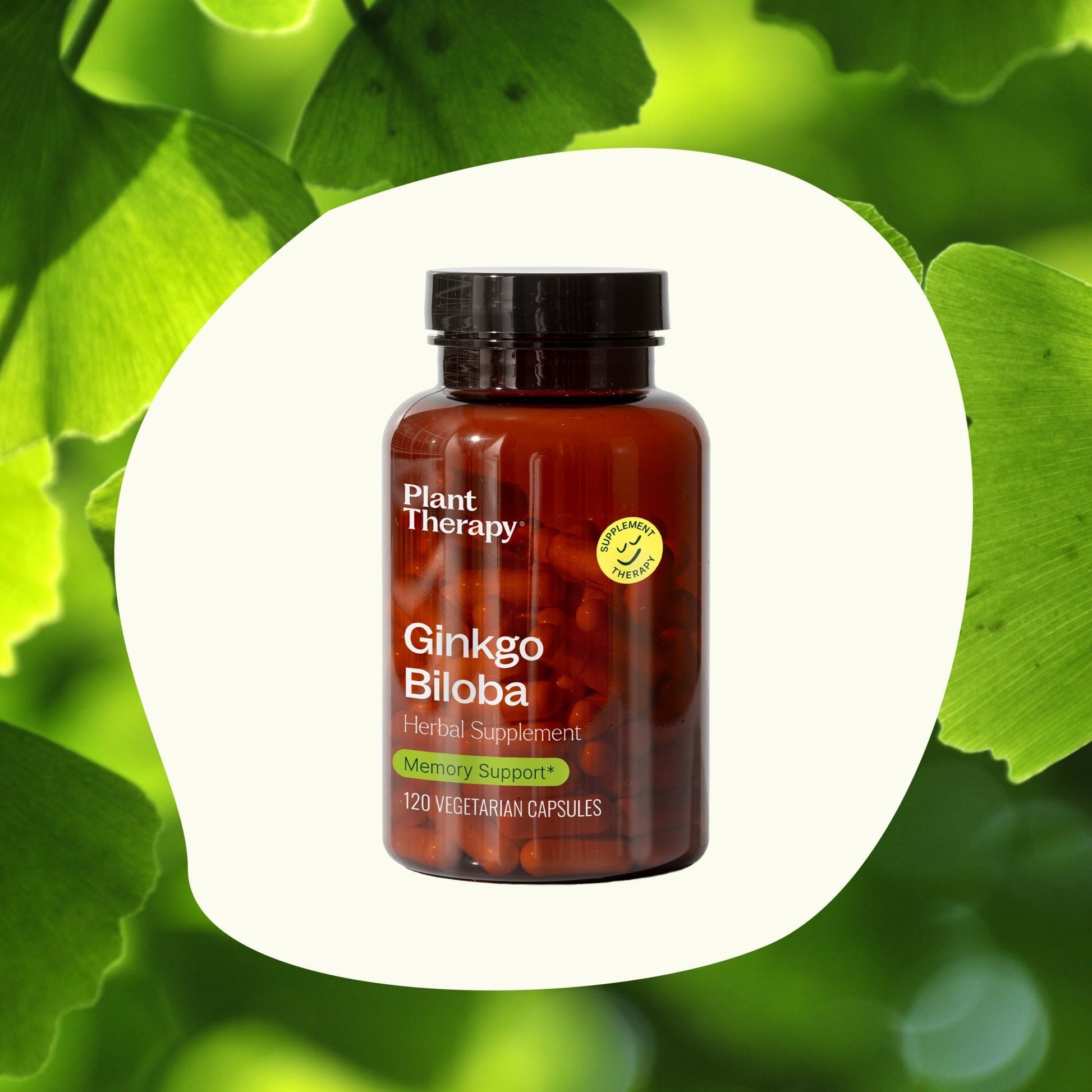 Ginkgo Biloba Herbal Supplement - 120 Capsules | Daily Health & Beauty