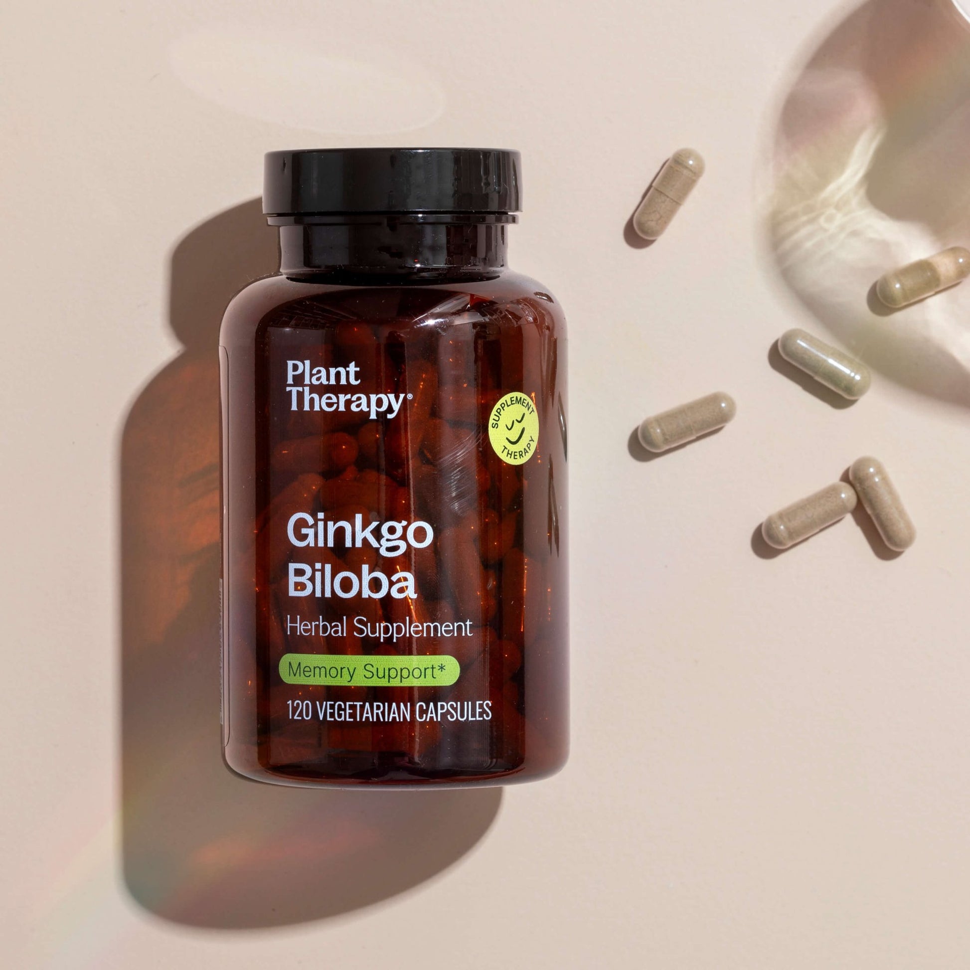 Ginkgo Biloba Herbal Supplement - 120 Capsules | Daily Health & Beauty