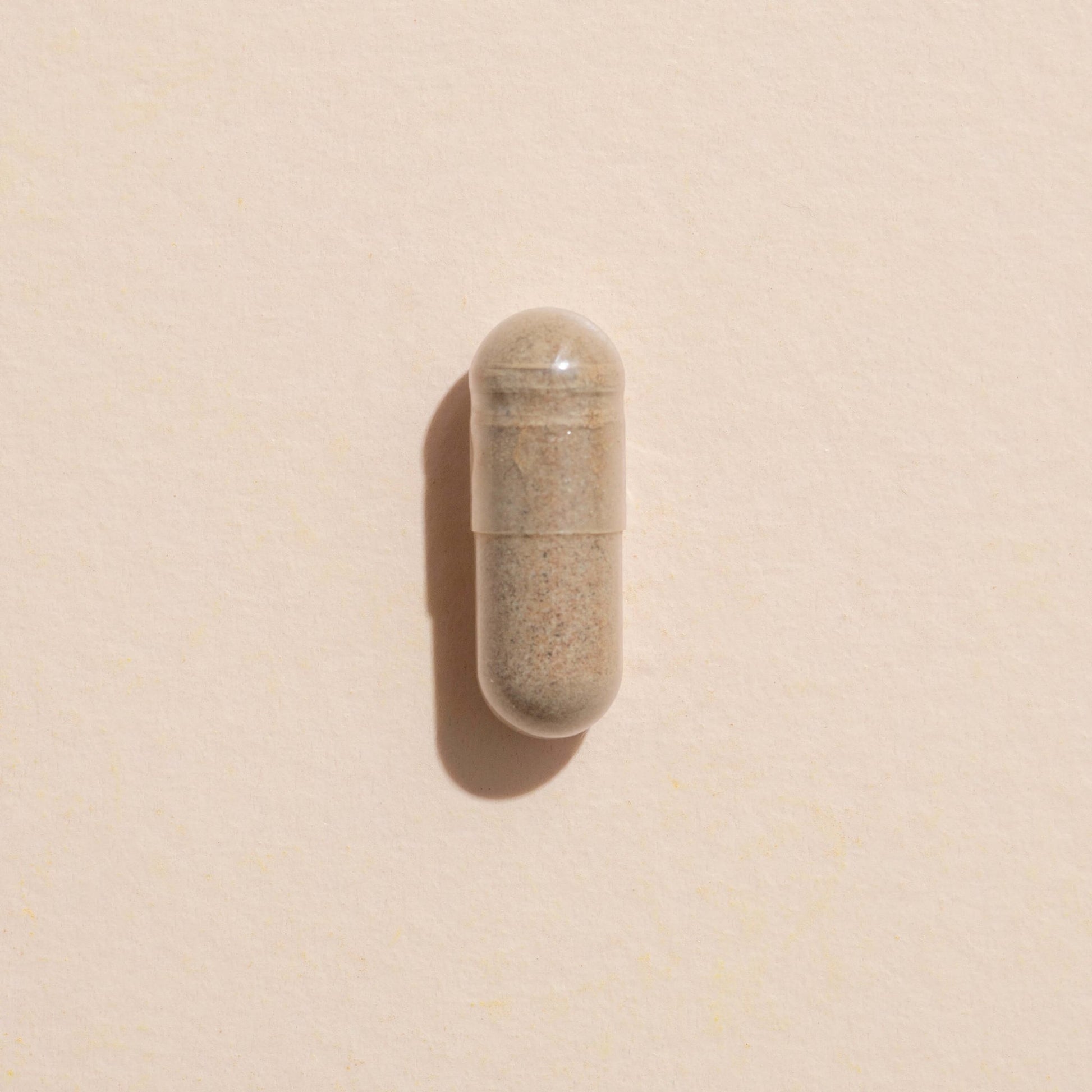 Ginkgo Biloba Herbal Supplement - 120 Capsules | Daily Health & Beauty