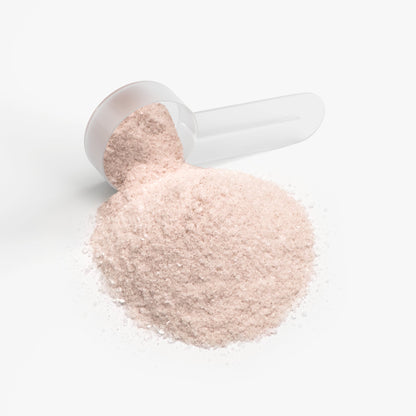 Hydravia Daily Hydration Powder Peach Mango | Energy Metabolism Support Mix | 5.71 oz