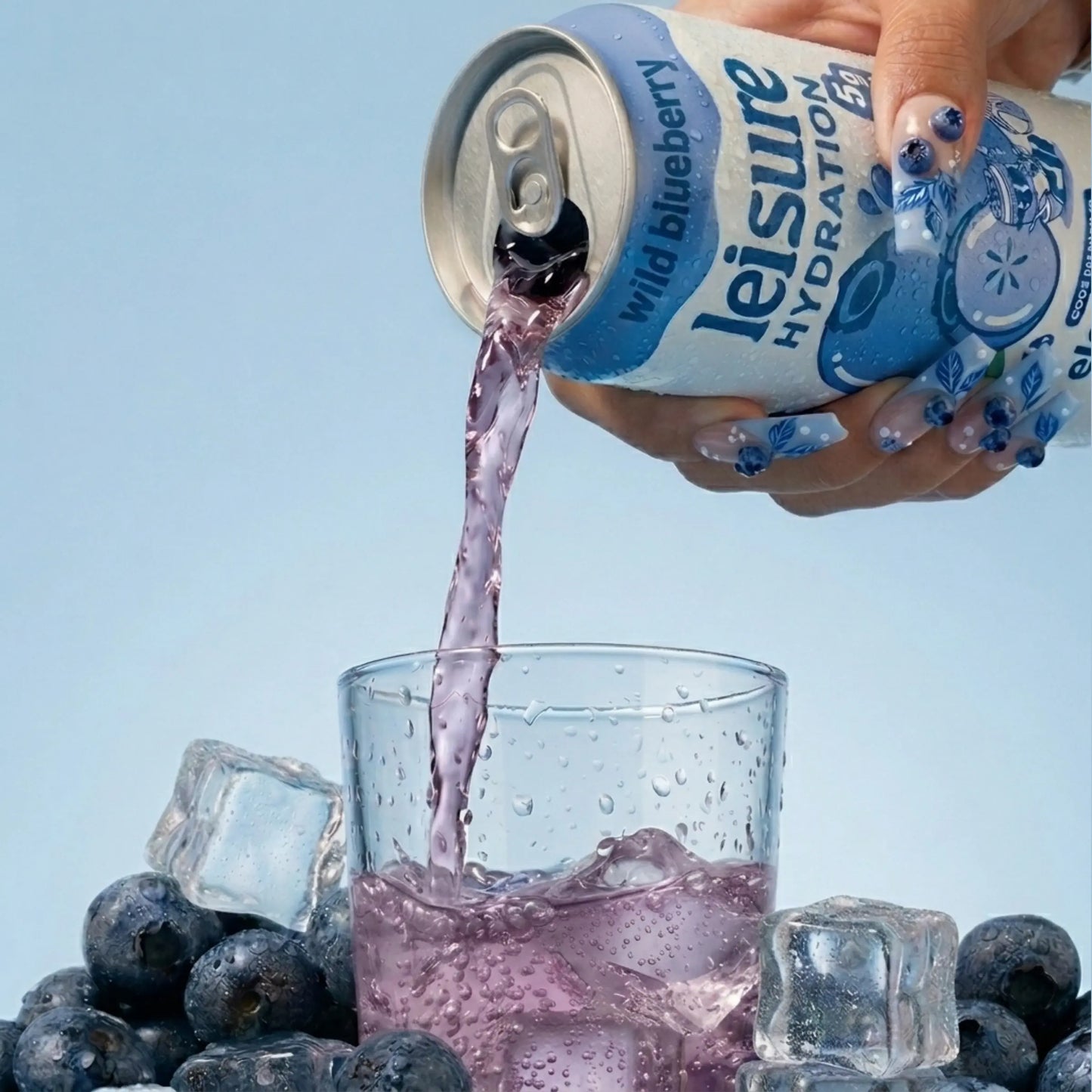 Wild Blueberry 12-Pack