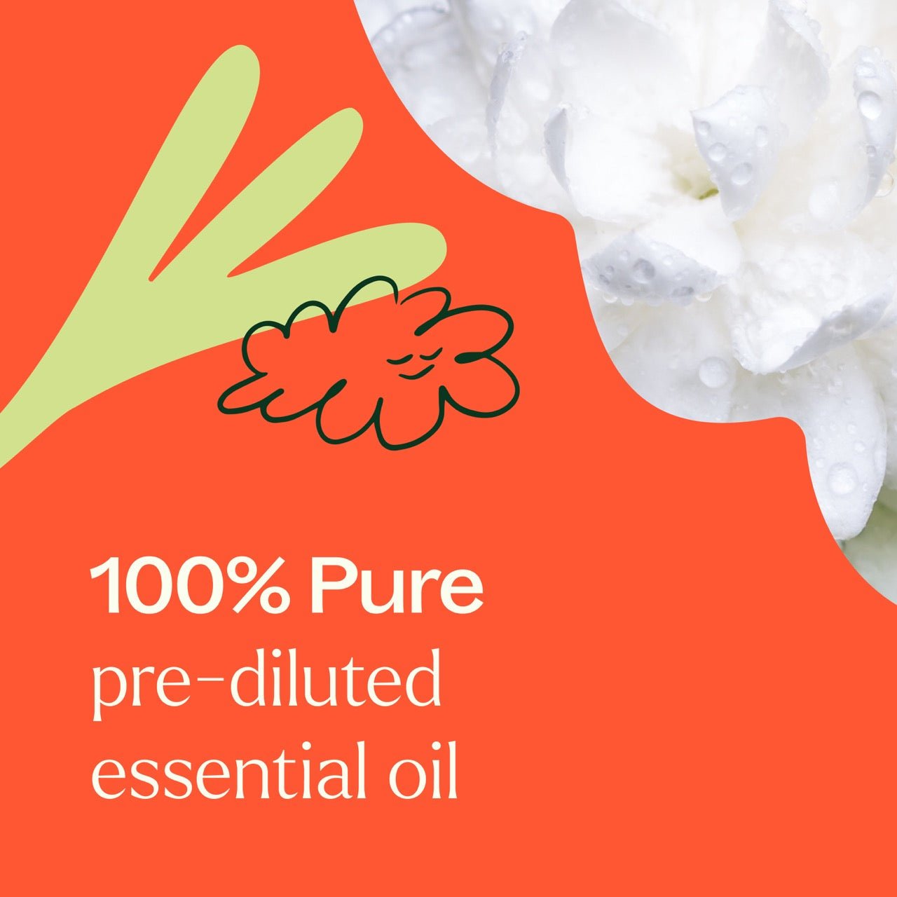 Jasmine Absolute Pre - Diluted Roll - On | Daily Health & Beauty