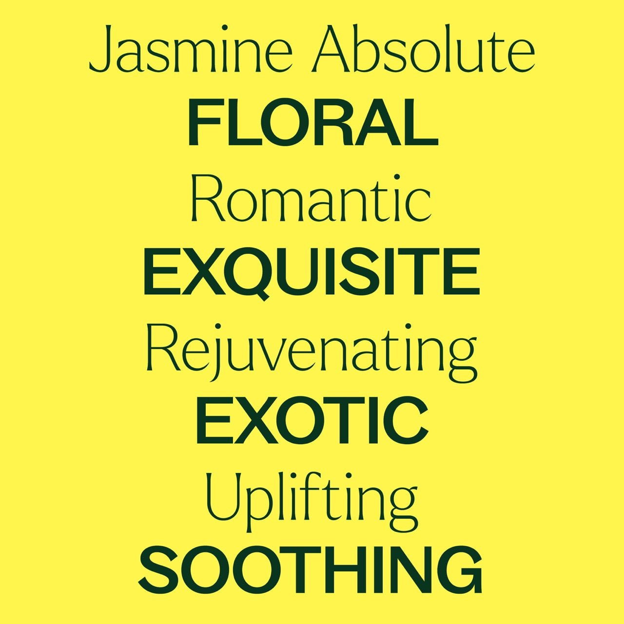 Jasmine Absolute Pre - Diluted Roll - On | Daily Health & Beauty