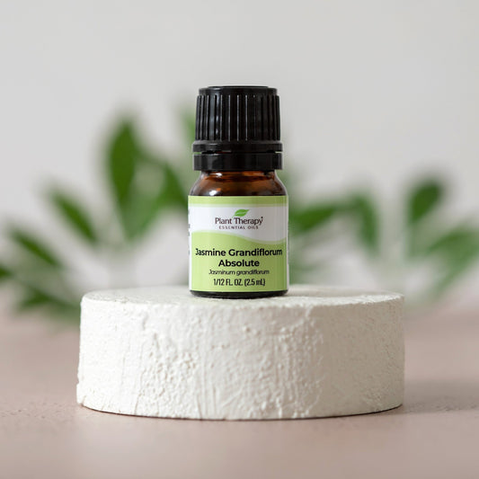 Jasmine Grandiflorum Absolute | Daily Health & Beauty
