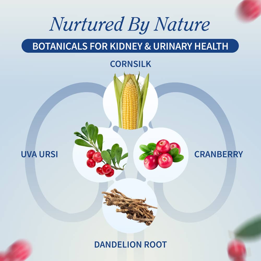 Kidney Health