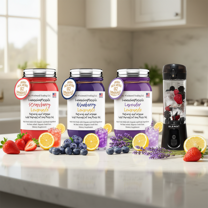 Organic Sunshine Lemonade Sea Moss Gel Bundle Strawberry Blueberry Lavender Lemonade with BLENDi Pro+ Ice Crushing Portable Blender on a kitchen counter — Daily Health & Beauty
