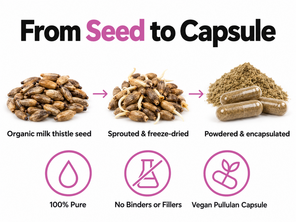 Organic Milk Thistle Capsules