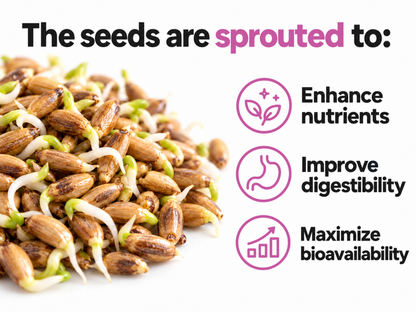 Organic Milk Thistle Capsules