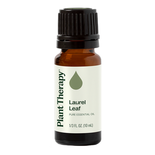 Laurel Leaf Essential Oil