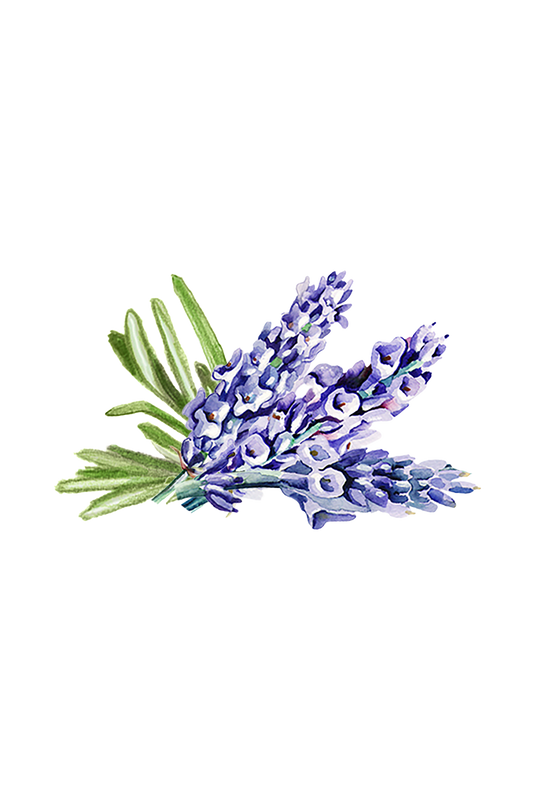 Hand Soap | Soothing Herbs