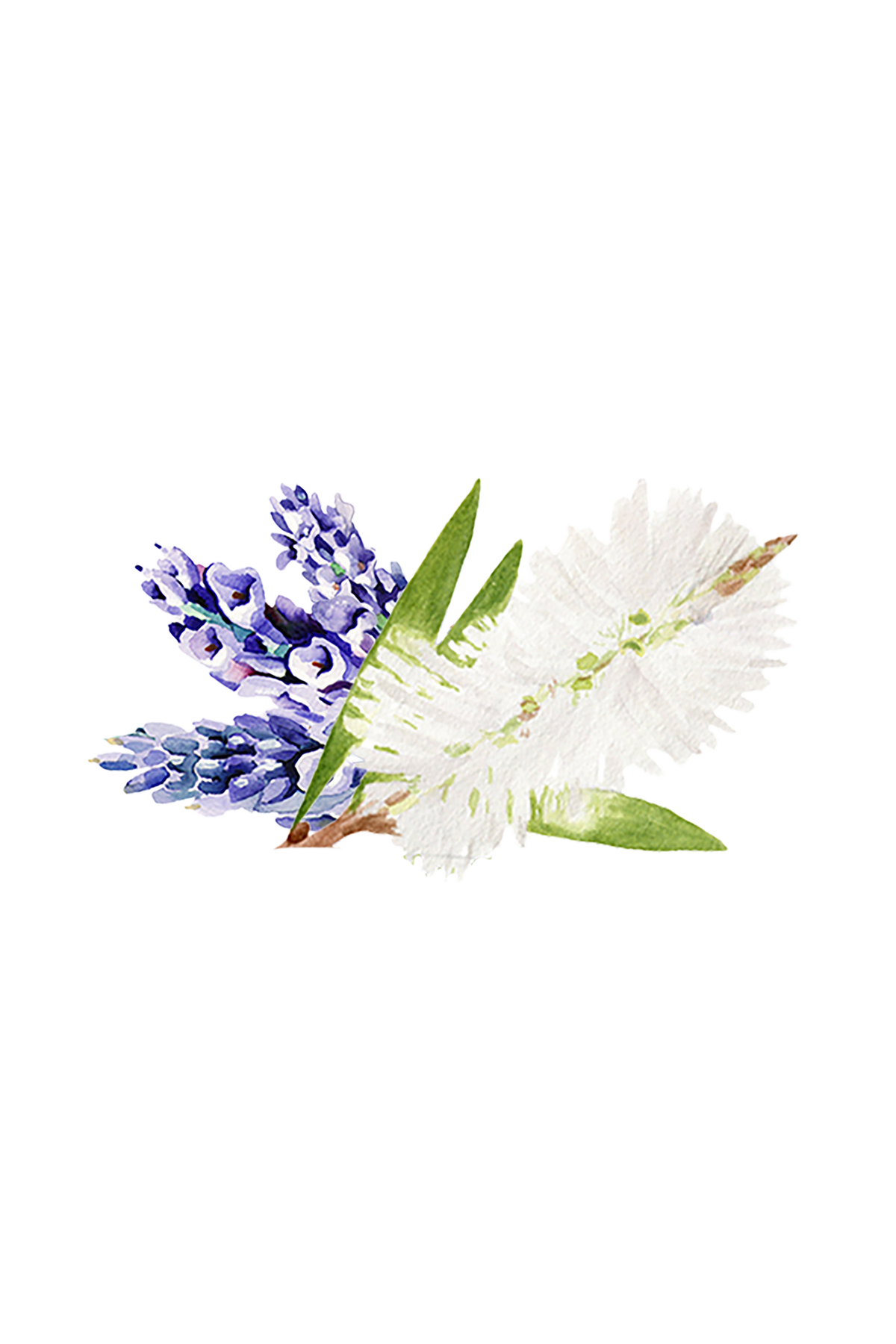 Lavender & Tea Tree Essential Oil Blend
