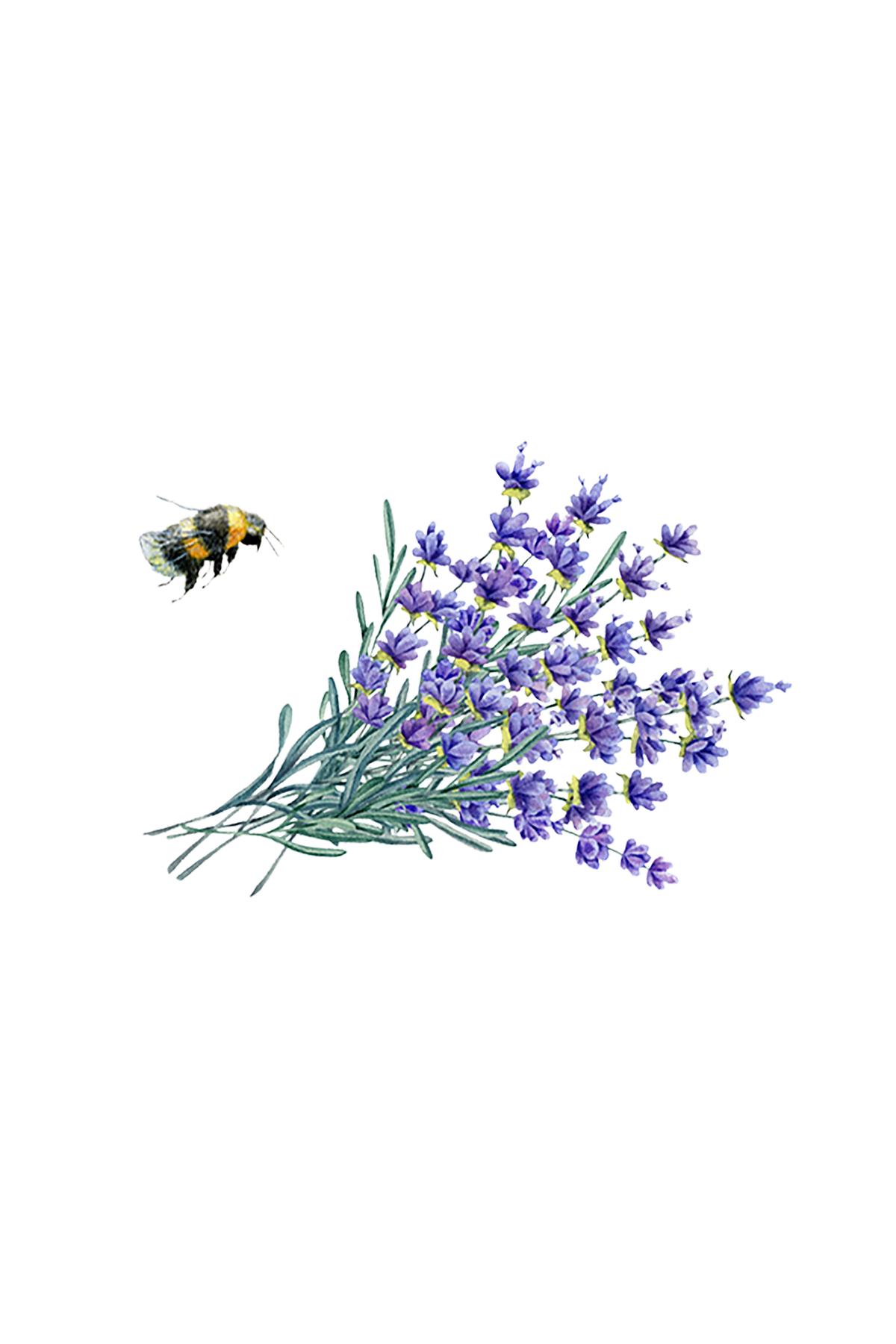 Linen Spray | Lavender