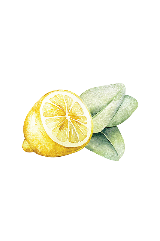 Dish Soap | Lemon & Eucalyptus