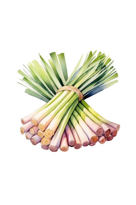 Lemongrass Essential Oil