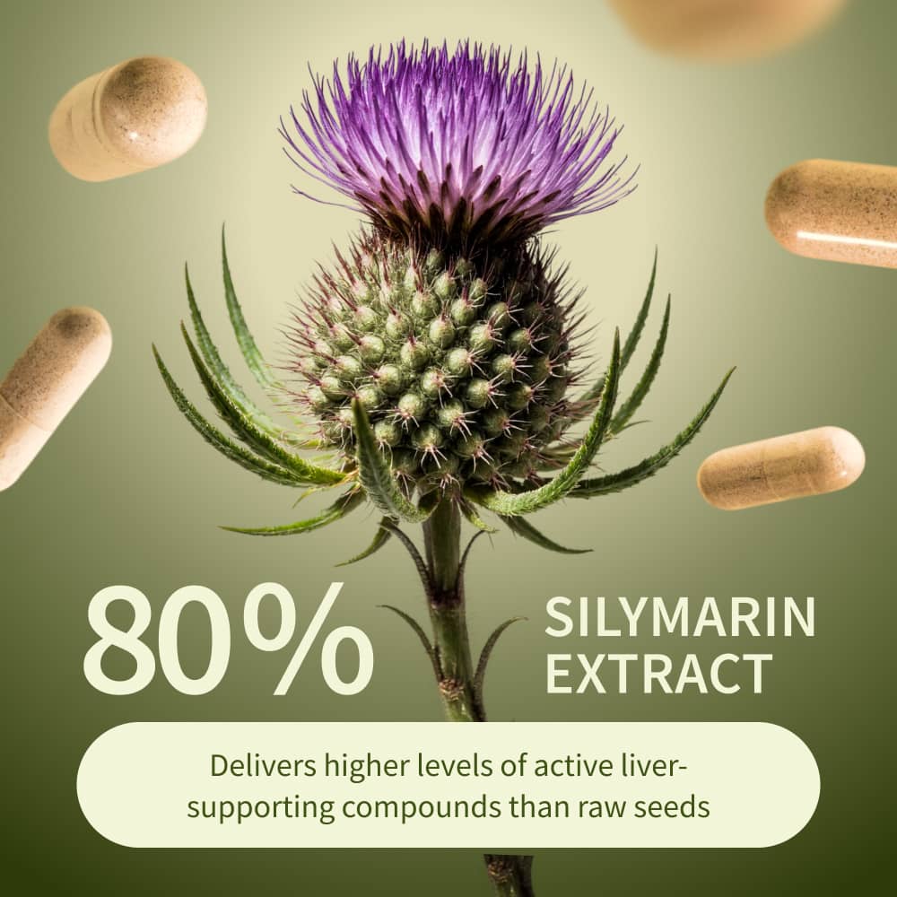 Liver Health - Buy 2, Get 1 FREE!