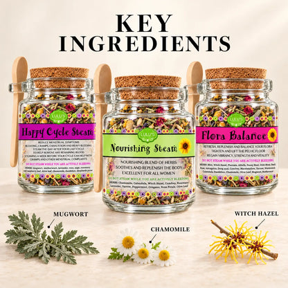 Lulu's Holistics Loose-Leaf Body Cleansing Herbal Infusion Variety Bundle (3-Pack)