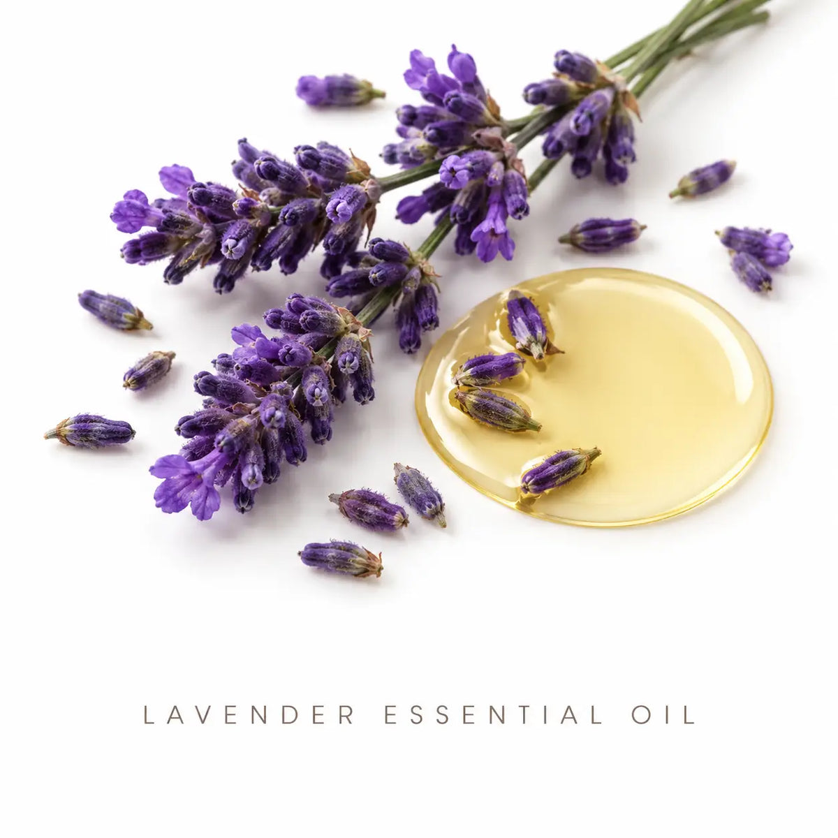 Tea Tree & Lavender Deodorant – Natural Odor Protection