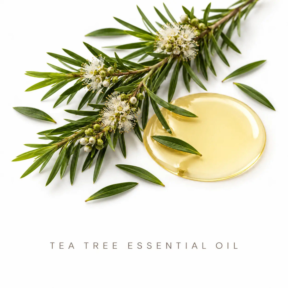 Tea Tree & Lavender Deodorant – Natural Odor Protection