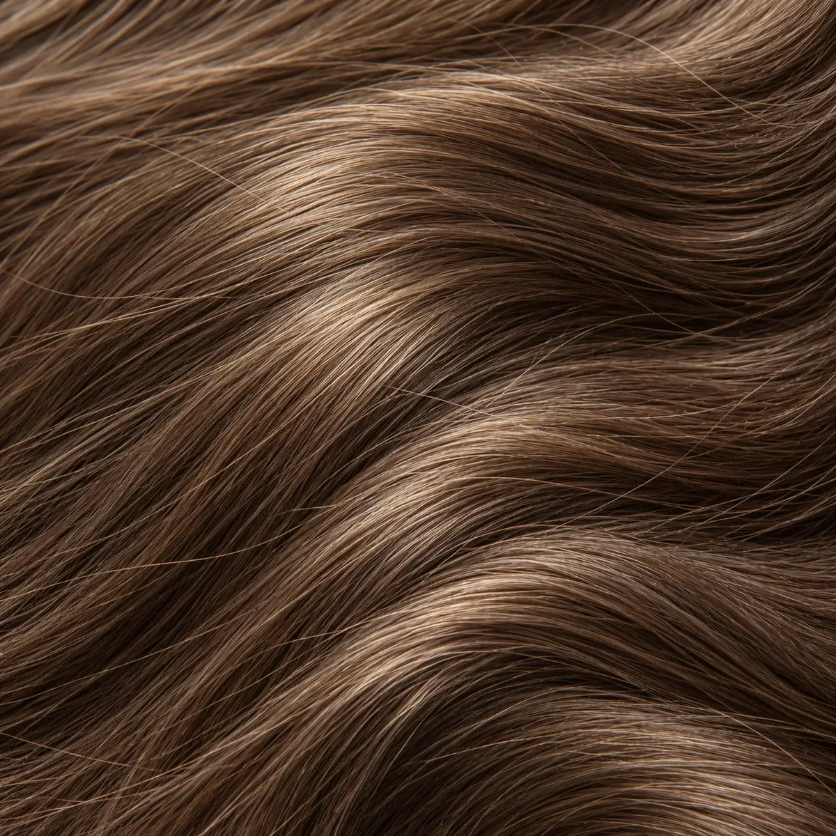 Lulu's Holistics Vital Hair Thickness & Scalp Stimulating Complete 4-Piece Routine Box