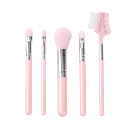 Makeup Brush: 5PCS Set | Daily Health & Beauty