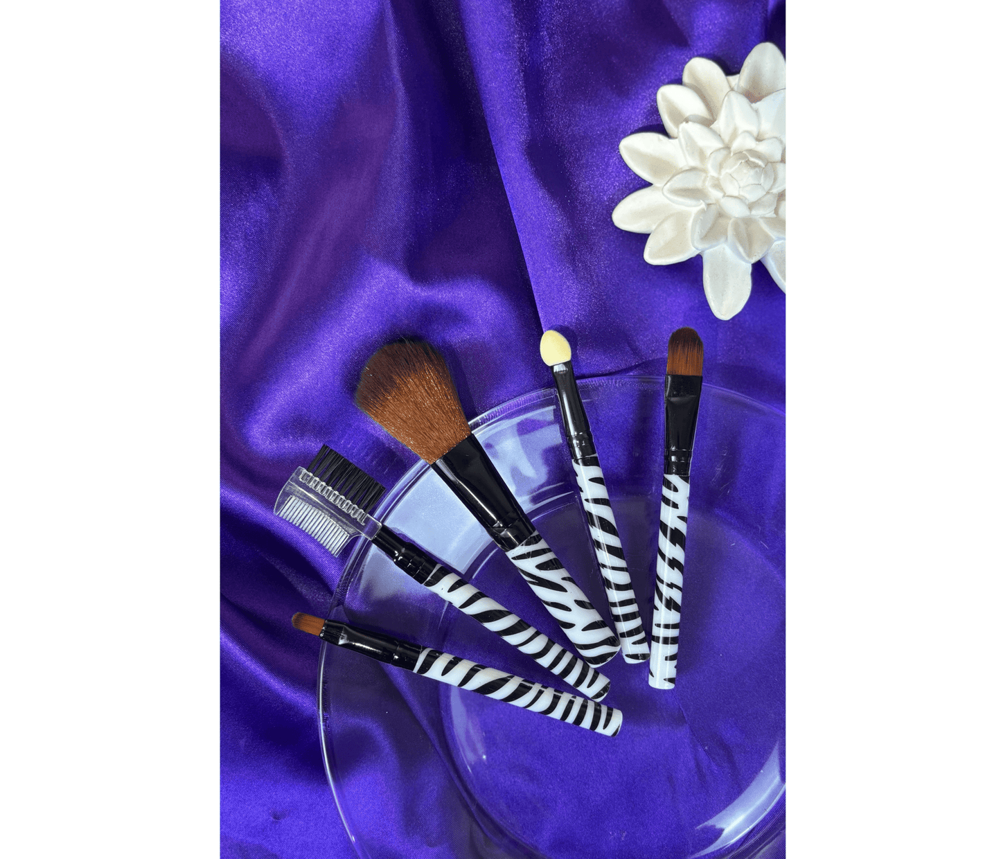 Makeup Brush Set: Essential For Perfection | Daily Health & Beauty