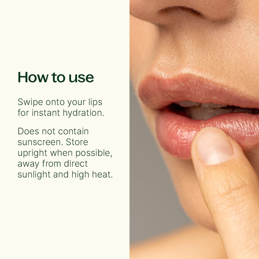Maple Bar Natural Lip Balm | Daily Health & Beauty