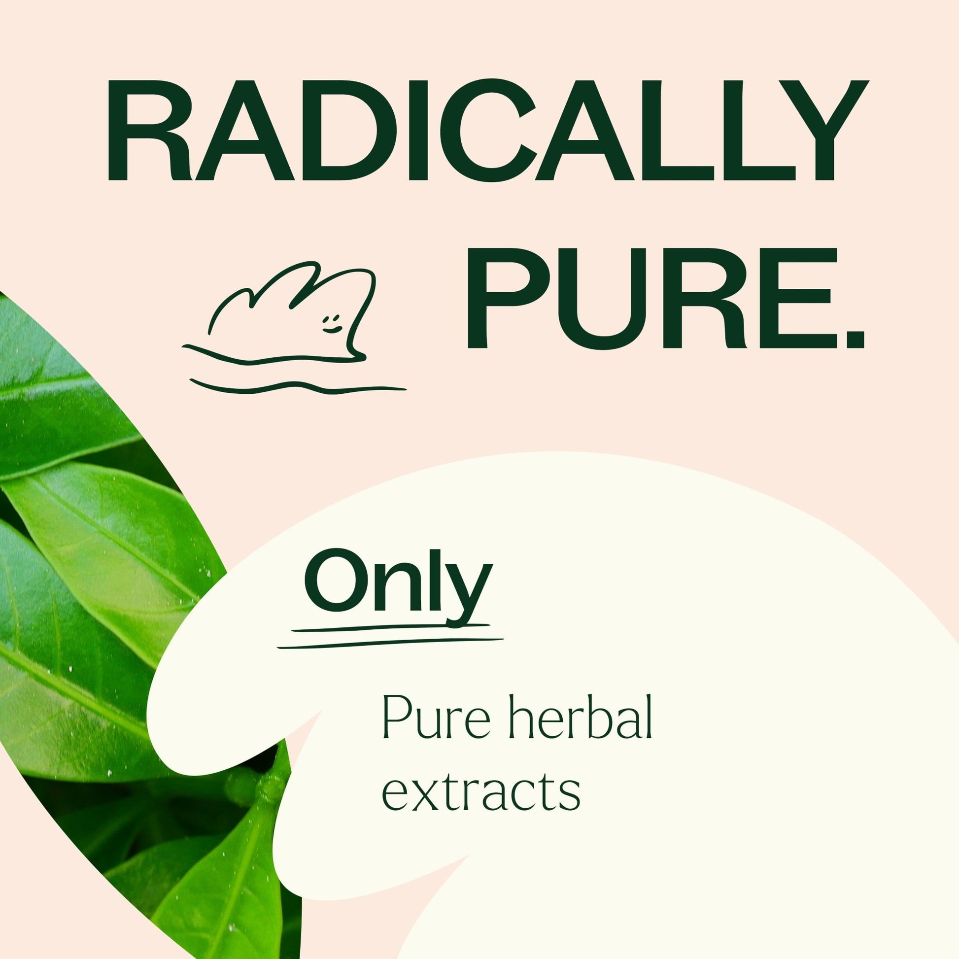 Metabolism Boost Herbal Supplement - 120 Capsules | Daily Health & Beauty