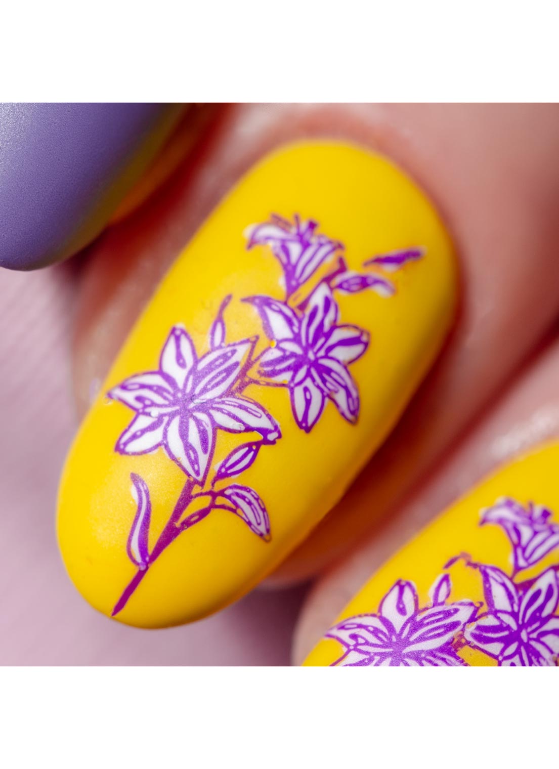 Mod Chic Garden | Daily Health & Beauty