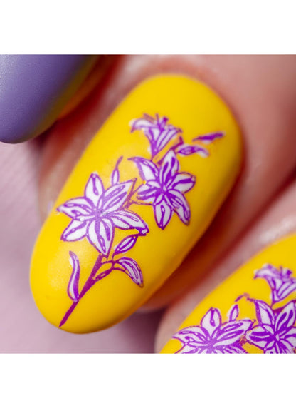 Mod Chic Garden | Daily Health & Beauty
