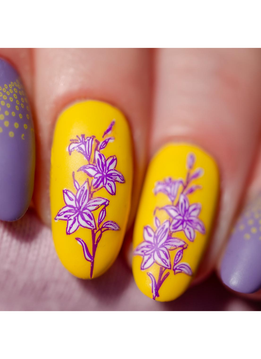 Mod Chic Garden | Daily Health & Beauty