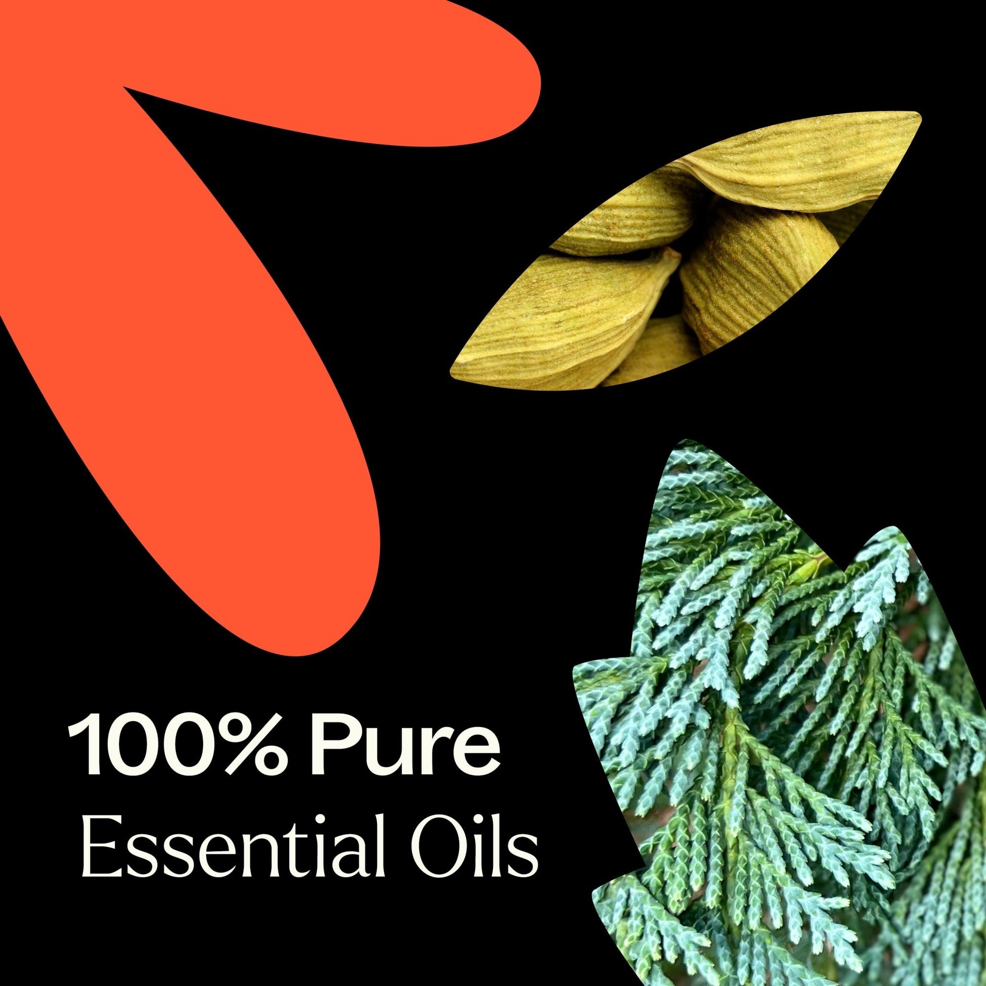 Monster Mash Essential Oil Blend | Daily Health & Beauty
