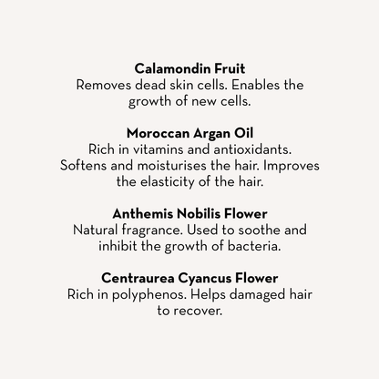 Hair Mask & Scalp Treatment + Shampoo