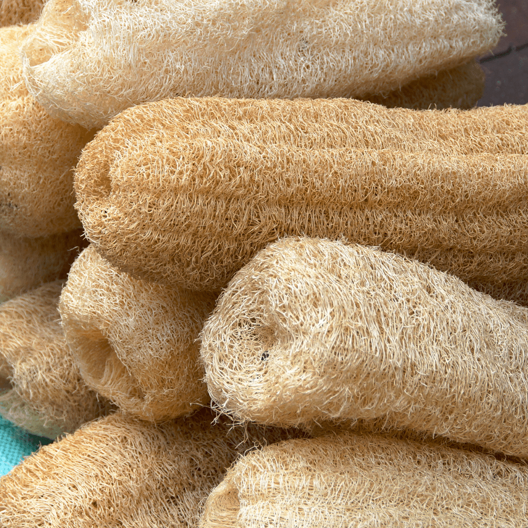Natural Loofah Sponge – 6" Cut, Organic & Biodegradable | Daily Health & Beauty